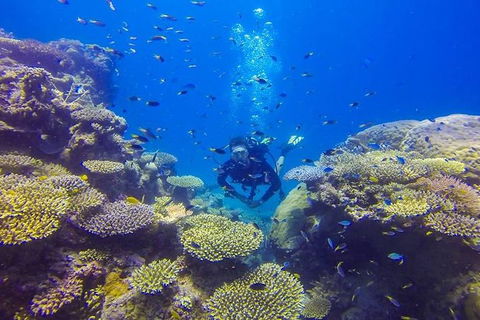 Great Barrier Reef Cruise From Townsville Or Magnetic Island - Accommodation ACT 12