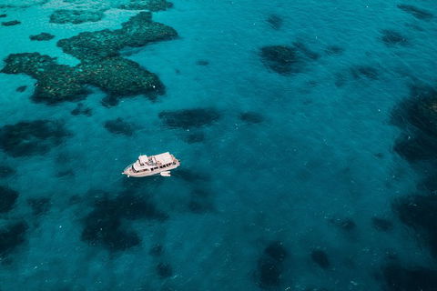 Great Barrier Reef Cruise From Townsville Or Magnetic Island - Accommodation ACT 7