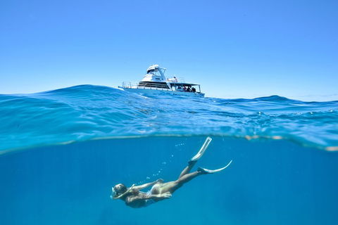 Great Barrier Reef Cruise From Townsville Or Magnetic Island - Accommodation ACT 10