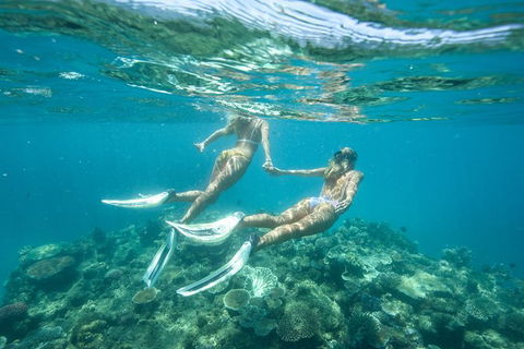 Great Barrier Reef Cruise From Townsville Or Magnetic Island - Accommodation ACT 8