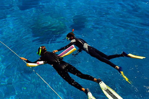 Great Barrier Reef Cruise From Townsville Or Magnetic Island - Accommodation ACT 13