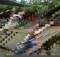 Hartley's Crocodile Adventures Day Trip from Cairns - Accommodation ACT