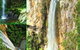 Rainforest & Waterfalls Extravaganza - thumb 0