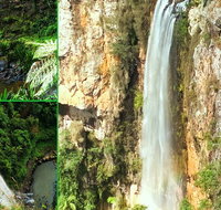 Rainforest  Waterfalls Extravaganza - Accommodation ACT