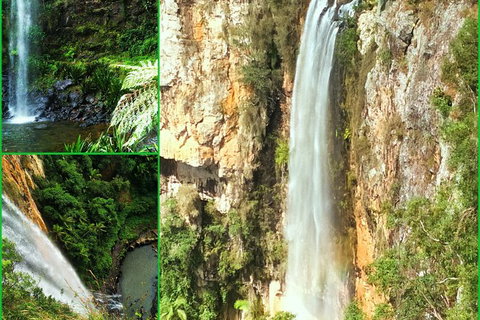 Rainforest & Waterfalls Extravaganza - Accommodation ACT 0