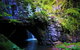 Rainforest & Waterfalls Extravaganza - thumb 1