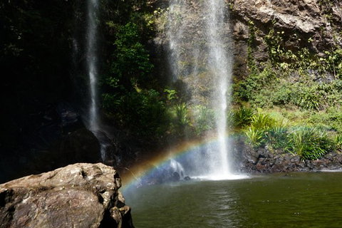 Rainforest & Waterfalls Extravaganza - Accommodation ACT 4