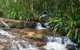 Rainforest & Waterfalls Extravaganza - thumb 7