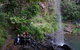 Rainforest & Waterfalls Extravaganza - thumb 9