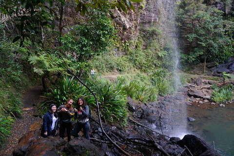 Rainforest & Waterfalls Extravaganza - Accommodation ACT 9
