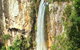 Rainforest & Waterfalls Extravaganza - thumb 3