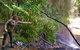 Rainforest & Waterfalls Extravaganza - thumb 8