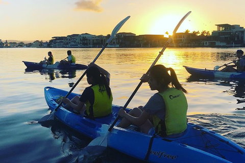 Surfers Paradise Sunset Kayak Tour - Accommodation ACT 8