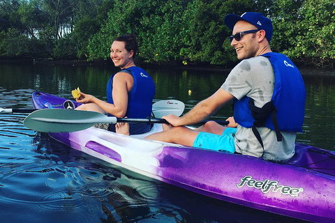 Surfers Paradise Sunset Kayak Tour - Accommodation ACT 10