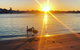 Surfers Paradise Sunset Kayak Tour - thumb 9
