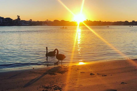 Surfers Paradise Sunset Kayak Tour - Accommodation ACT 9