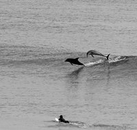 Overnight Tweed Coast Camping and Surfing Getaway From The Gold Coast - Accommodation ACT