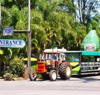 Tropical Fruit World with Wildlife Boat Cruise from Gold Coast - Accommodation ACT