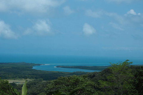 Cape Tribulation, Daintree Rainforest And Wildlife Tour - Accommodation ACT 7