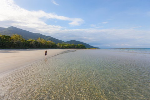 Cape Tribulation, Daintree Rainforest And Wildlife Tour - Accommodation ACT 6