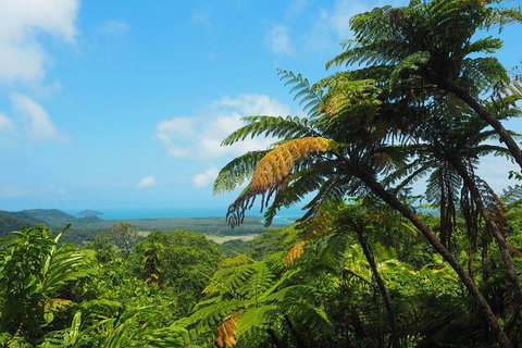 Cape Tribulation, Daintree Rainforest And Wildlife Tour - Accommodation ACT 5