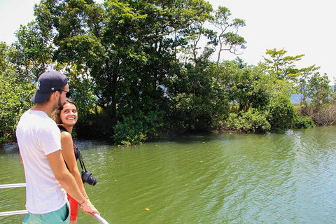 Cape Tribulation, Daintree Rainforest And Wildlife Tour - Accommodation ACT 8