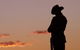 Townsville And The Australian Army: Walking History Tour With Optional City Sightseeing - thumb 0