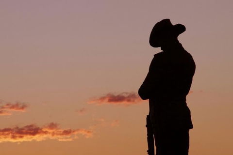 Townsville And The Australian Army: Walking History Tour With Optional City Sightseeing - Accommodation ACT 0