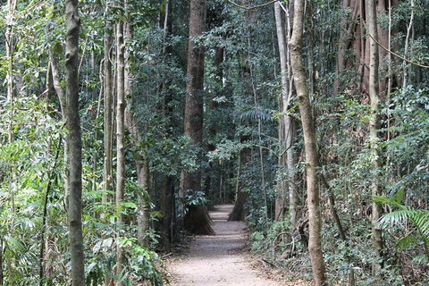 Eumundi Markets And Sunshine Coast Day Trip From Brisbane - Accommodation ACT 6