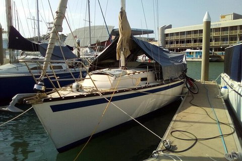 Townsville Early Morning Sailing Cruise Boat Tour - Accommodation ACT 5