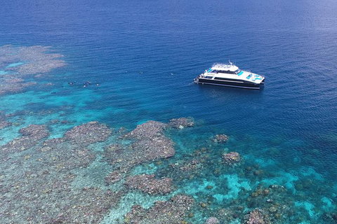 Calypso Outer Great Barrier Reef Cruise From Port Douglas - Accommodation ACT 1