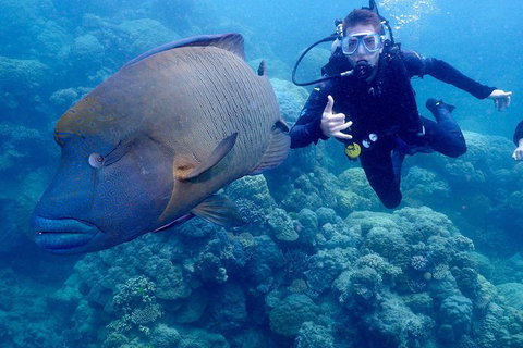 Calypso Outer Great Barrier Reef Cruise From Port Douglas - Accommodation ACT 6