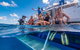 Calypso Outer Great Barrier Reef Cruise From Port Douglas - thumb 4