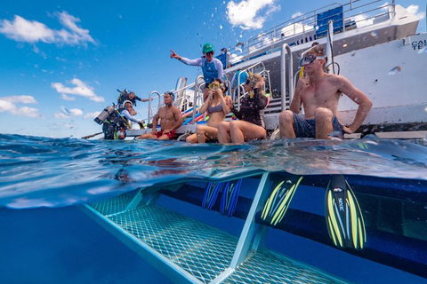 Calypso Outer Great Barrier Reef Cruise From Port Douglas - Accommodation ACT 4