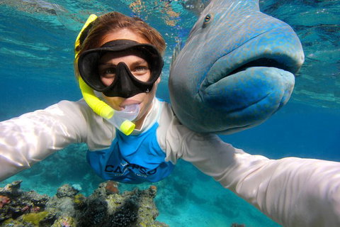 Calypso Outer Great Barrier Reef Cruise From Port Douglas - Accommodation ACT 5