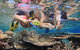 Calypso Outer Great Barrier Reef Cruise From Port Douglas - thumb 10