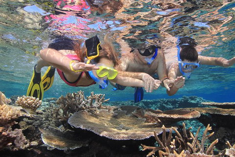 Calypso Outer Great Barrier Reef Cruise From Port Douglas - Accommodation ACT 10
