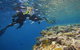 Calypso Outer Great Barrier Reef Cruise From Port Douglas - thumb 3