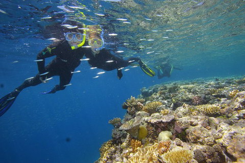 Calypso Outer Great Barrier Reef Cruise From Port Douglas - Accommodation ACT 3