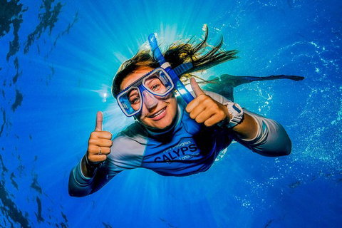 Calypso Outer Great Barrier Reef Cruise From Port Douglas - Accommodation ACT 2
