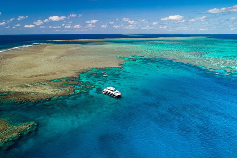 Calypso Outer Great Barrier Reef Cruise From Port Douglas - Accommodation ACT 12