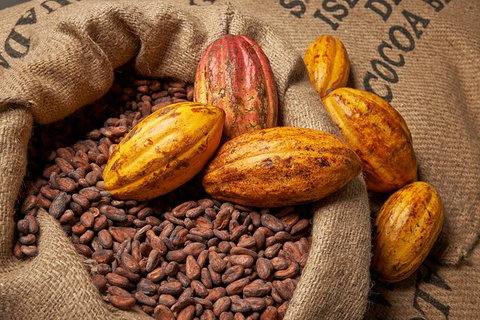 Charley\'s Chocolate Factory Tour, Mission Beach Including Aussie Farm Lunch - Accommodation ACT 0