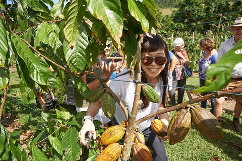 Charley\'s Chocolate Factory Tour, Mission Beach Including Aussie Farm Lunch - Accommodation ACT 1