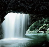 Natural Bridge Glow Worm Night Tour from Gold Coast - Accommodation ACT