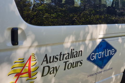 Natural Bridge Glow Worm Night Tour From Gold Coast - Accommodation ACT 9