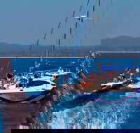 Blue Dolphin Exclusive Whale Watch Encounters - Accommodation ACT