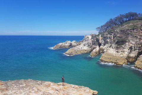 Full-Day Tour To North Stradbroke Island From Brisbane - Accommodation ACT 2