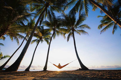 Port Douglas And Hartley's Crocodile Adventure Day Trip From Cairns - Accommodation ACT 0