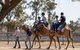 Camel Rides - thumb 0