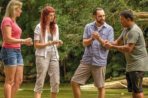 Sightseeing Tour - Half Day - Accommodation ACT 4